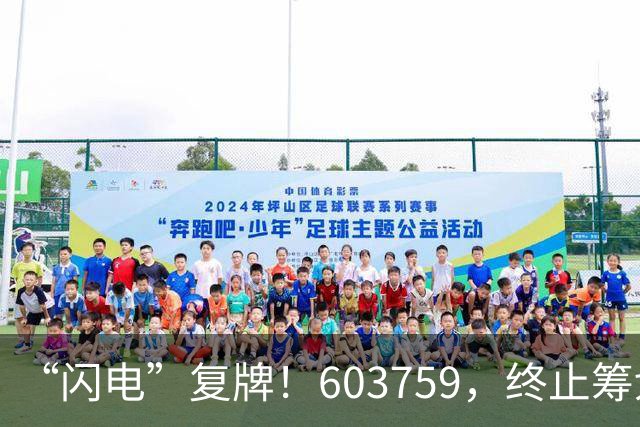“闪电”复牌！603759，终止筹划重大事项