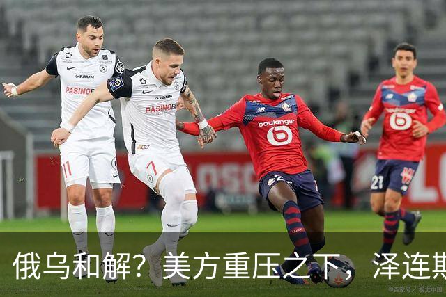 俄乌和解？美方重压之下，泽连斯基提一要求，俄罗斯居然点头了