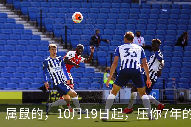 属鼠的，10月19日起，压你7年的死结，终于松了，从此一飞冲天