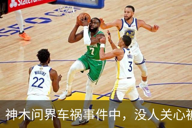 神木问界车祸事件中，没人关心被烧死的那个人