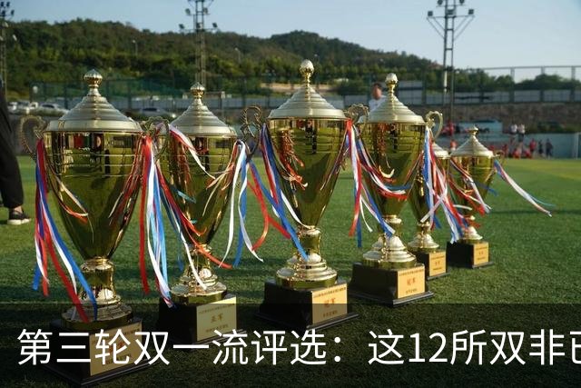 第三轮双一流评选：这12所双非已全面达标，很大概率能入选！快来看看你的大学有没有上榜