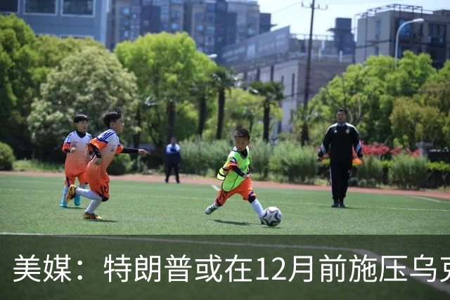 美媒:特朗普或在12月前施压乌克兰,让出顿巴斯